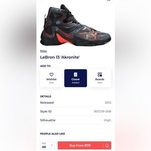 LeBron 13 Akronite Size 11